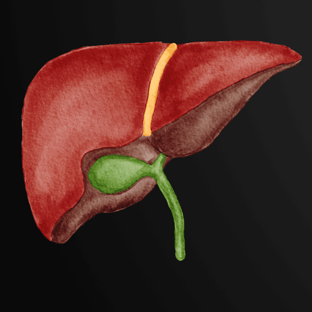 Bile Deficiency Syndrome Masterclass